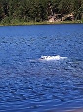 The hottest mature women are fingering their ass holes.