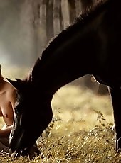 Random Pictures I Like 16